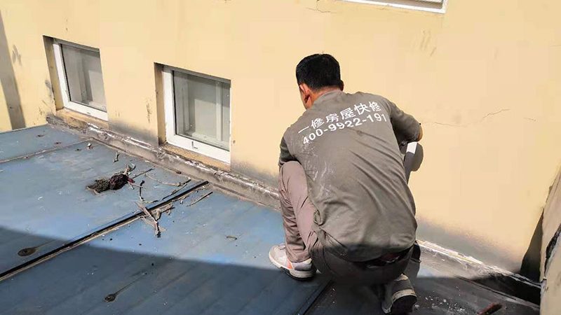 水性聚氨酯防水涂料：价格背后的考量因素